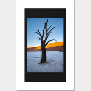 Dead tree. Posters and Art